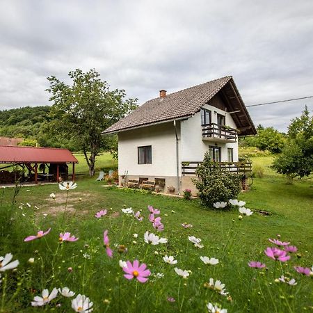 Holiday House On The Riverside Ogulin Exteriör bild
