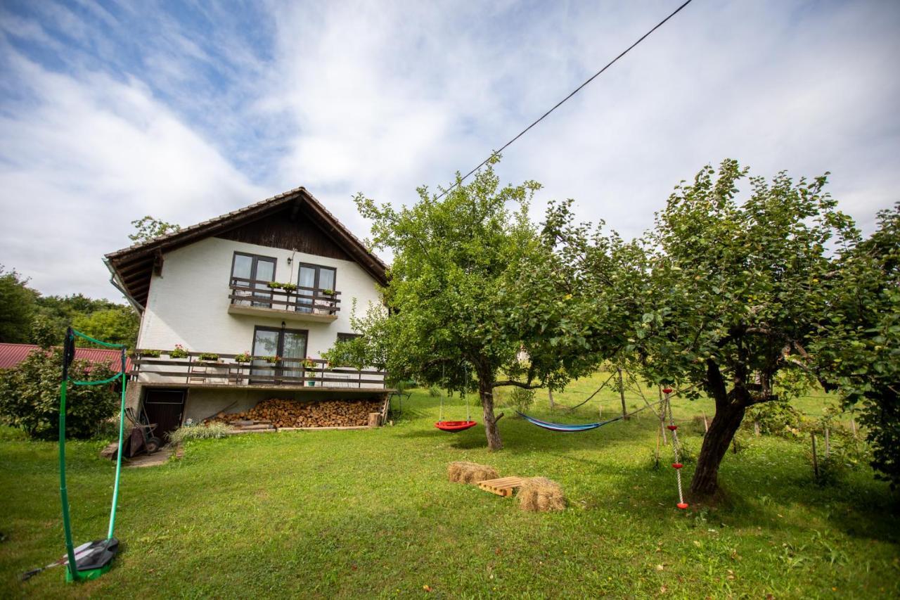Holiday House On The Riverside Ogulin Exteriör bild